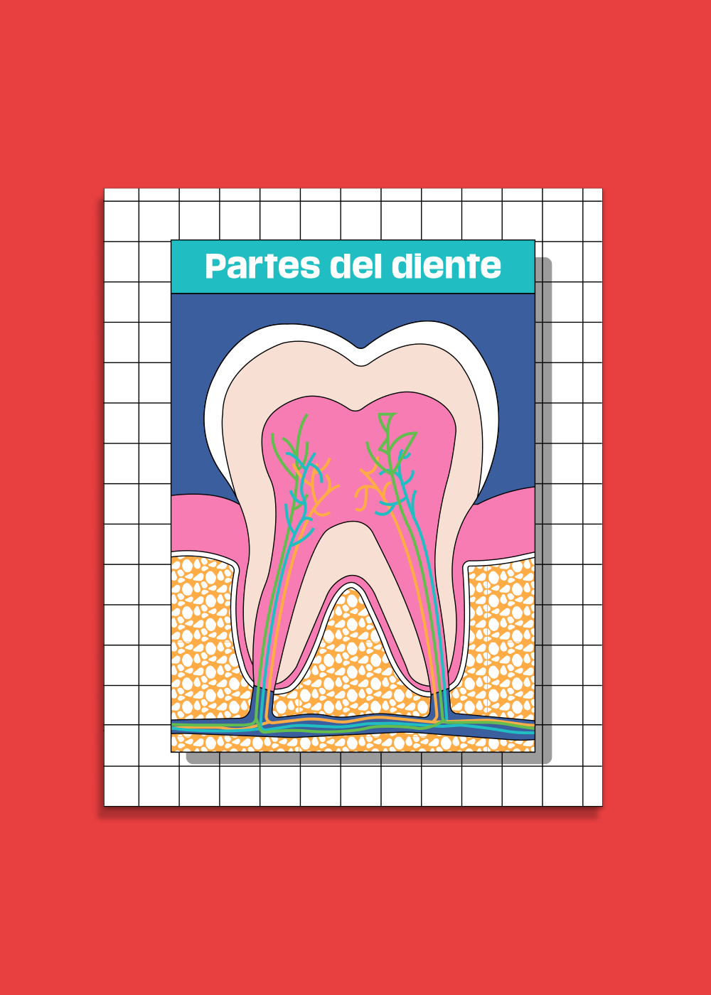 Ilustración diente - portada